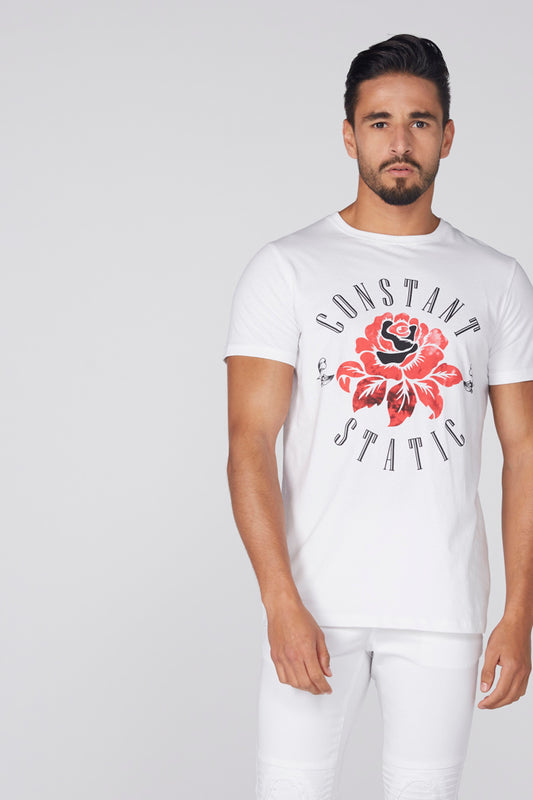 Printed T-Shirt with Round Neck and Short Sleeves