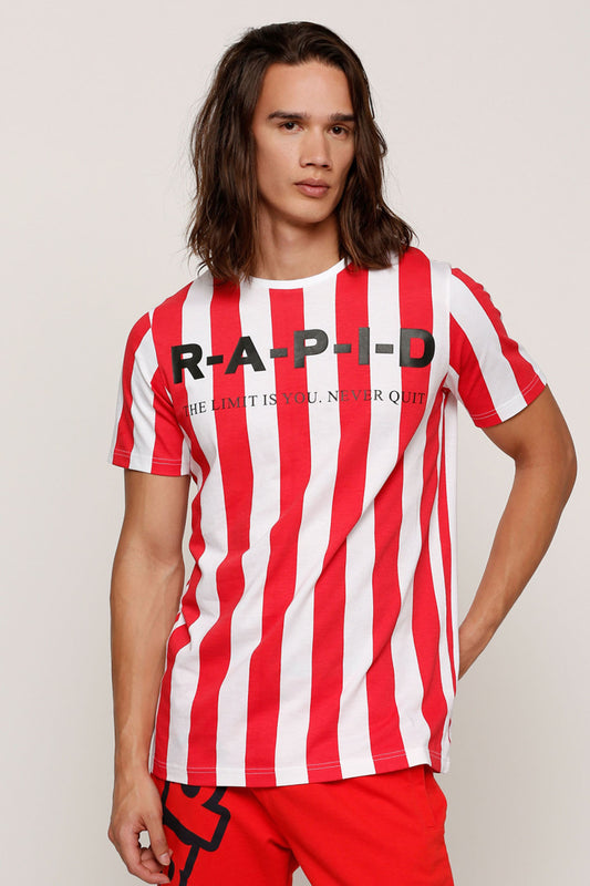 Striped Crew Neck T-Shirt with Short Sleeves