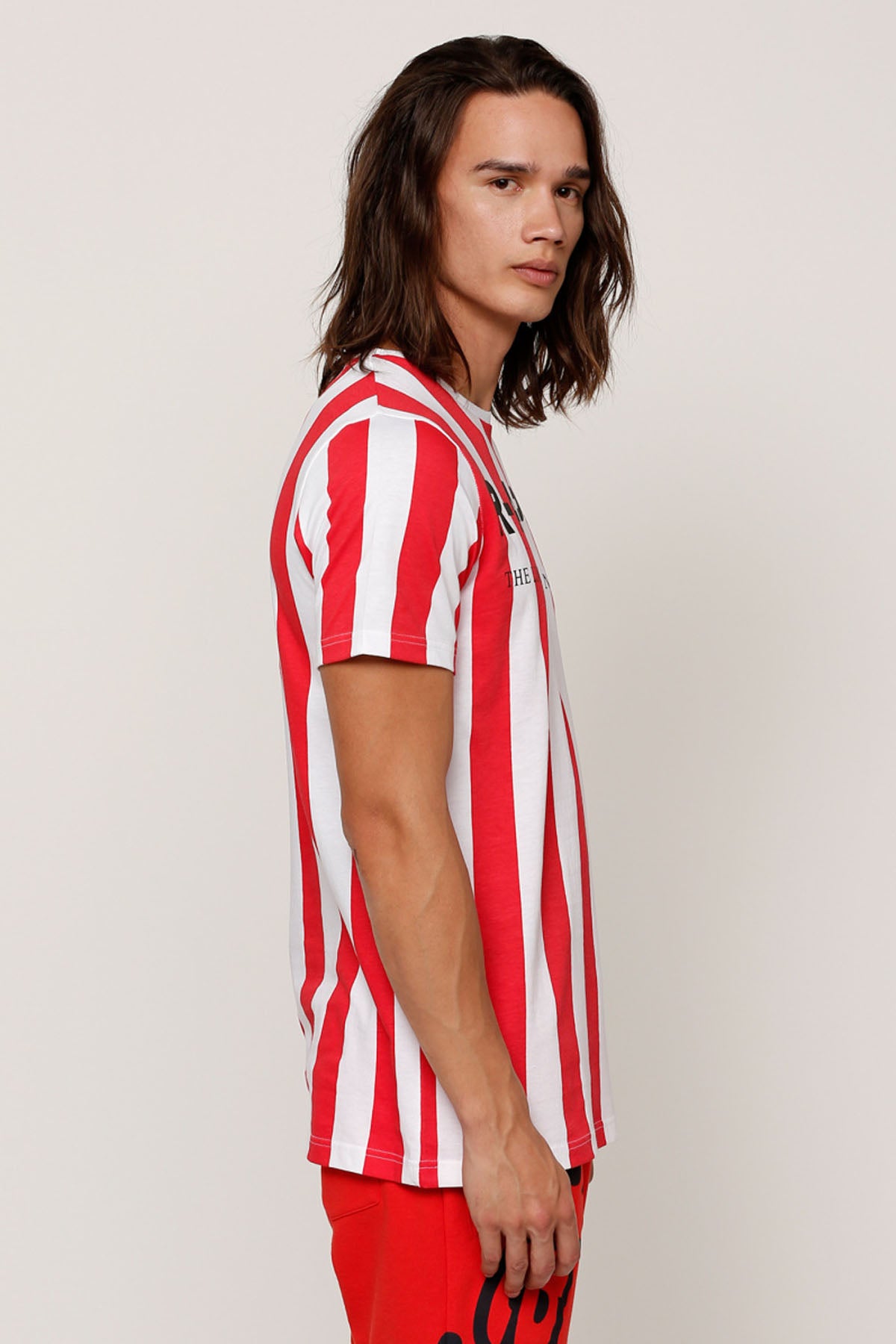 Striped Crew Neck T-Shirt with Short Sleeves