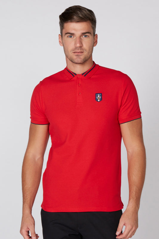 Applique Detail T-Shirt with Polo Neck and Short Sleeves
