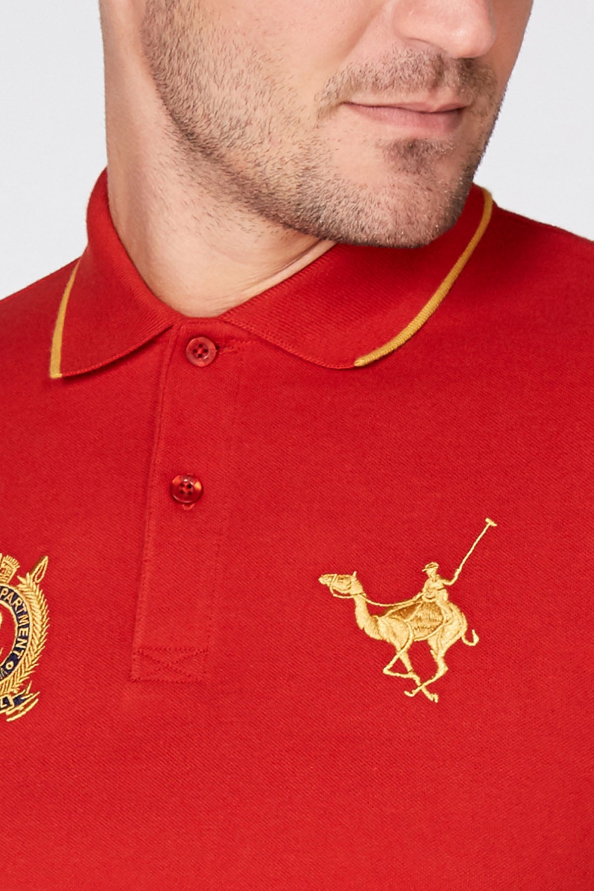 Embroidered T-shirt with Polo Neck and Short Sleeves