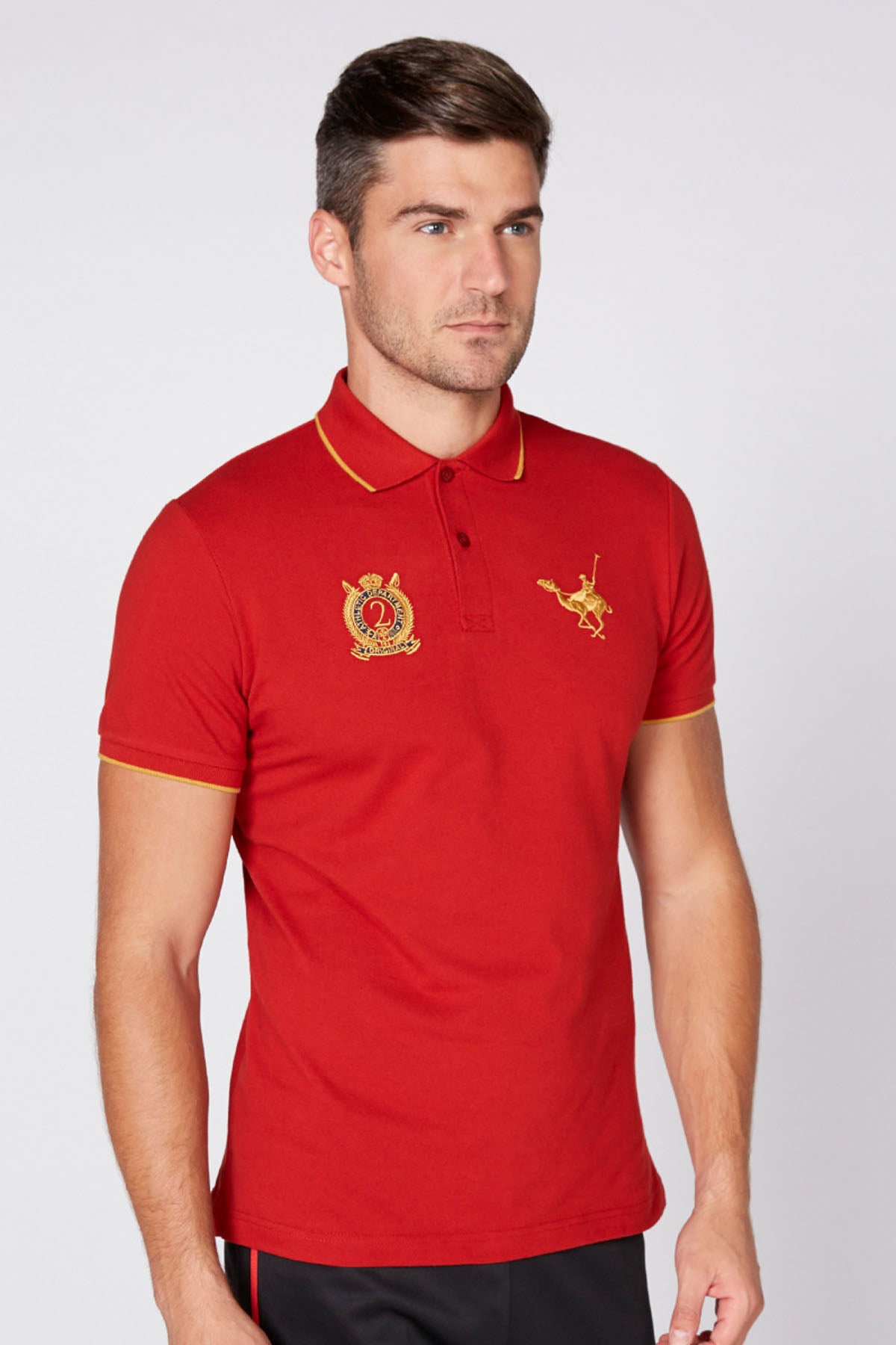 Embroidered T-shirt with Polo Neck and Short Sleeves