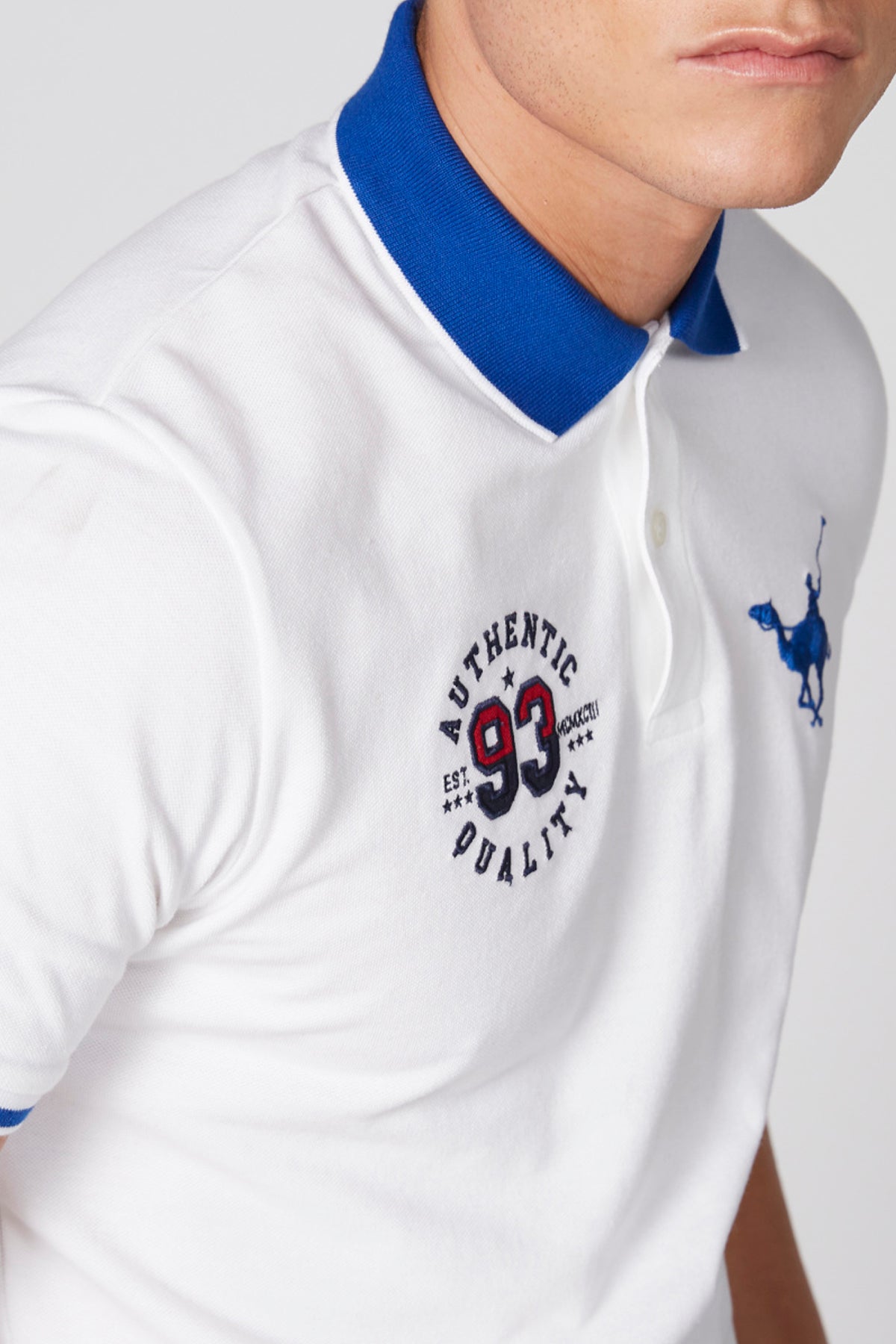 Embroidered T-Shirt with Polo Neck and Short Sleeves