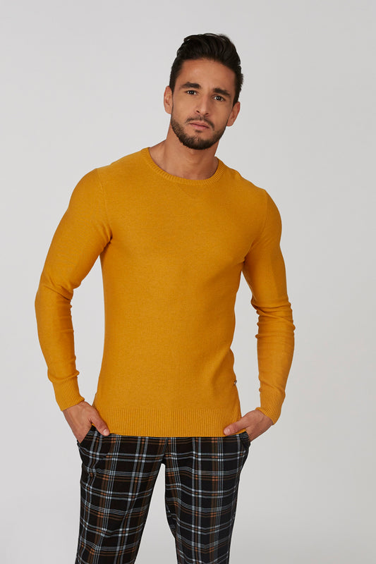 Plain Sweatshirt with Crew Neck and Long Sleeves