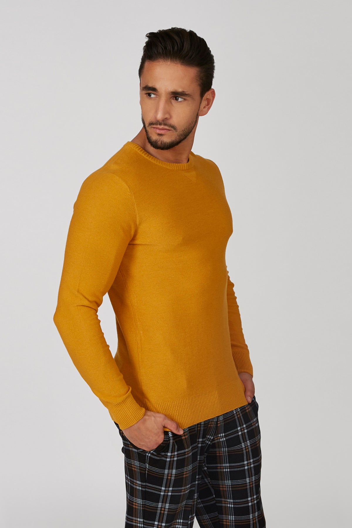 Plain Sweatshirt with Crew Neck and Long Sleeves