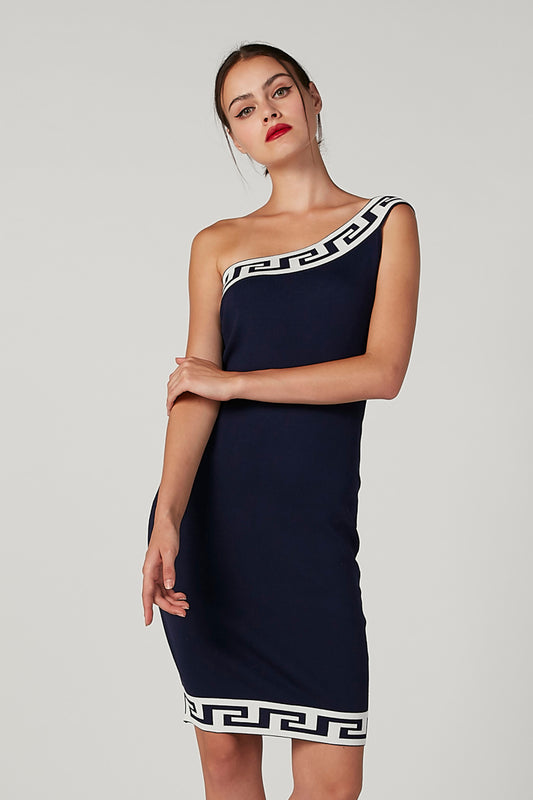 Printed Midi Bodycon Sleeveless Dress