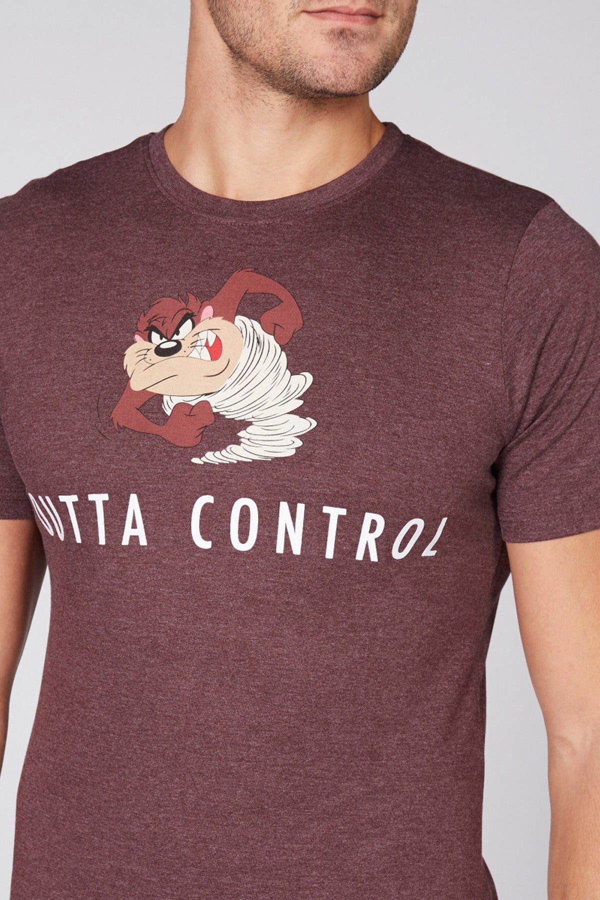 Printed T-Shirt with Round Neck and Short Sleeves