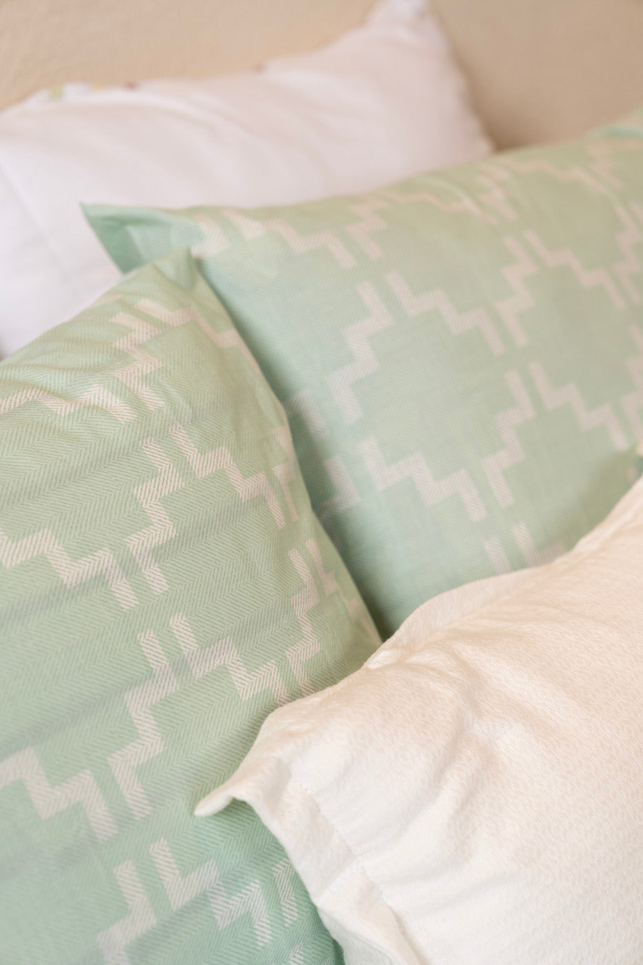 Printed Bedsheet