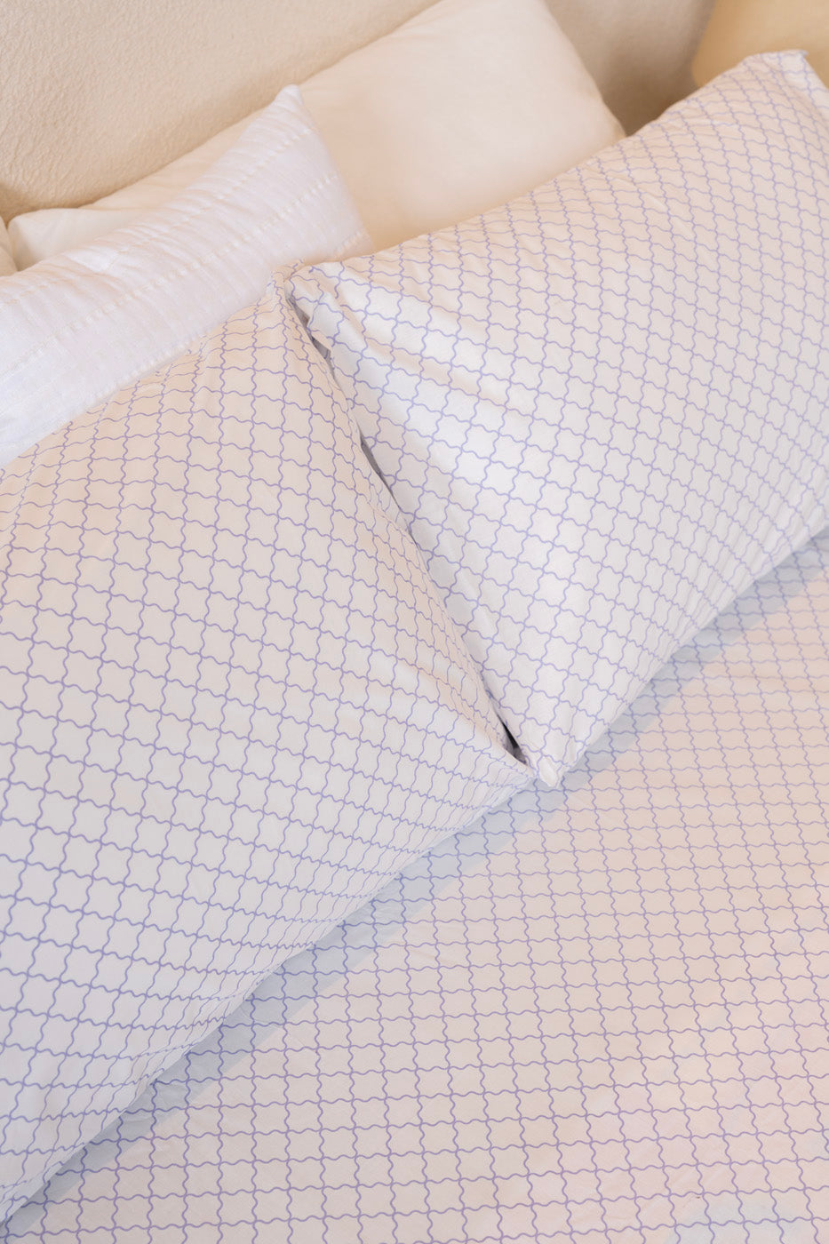 Printed Bedsheet