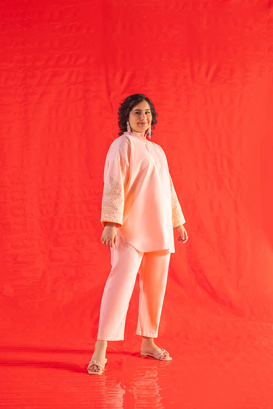 2 Pc Embroidered Karandi Outfit