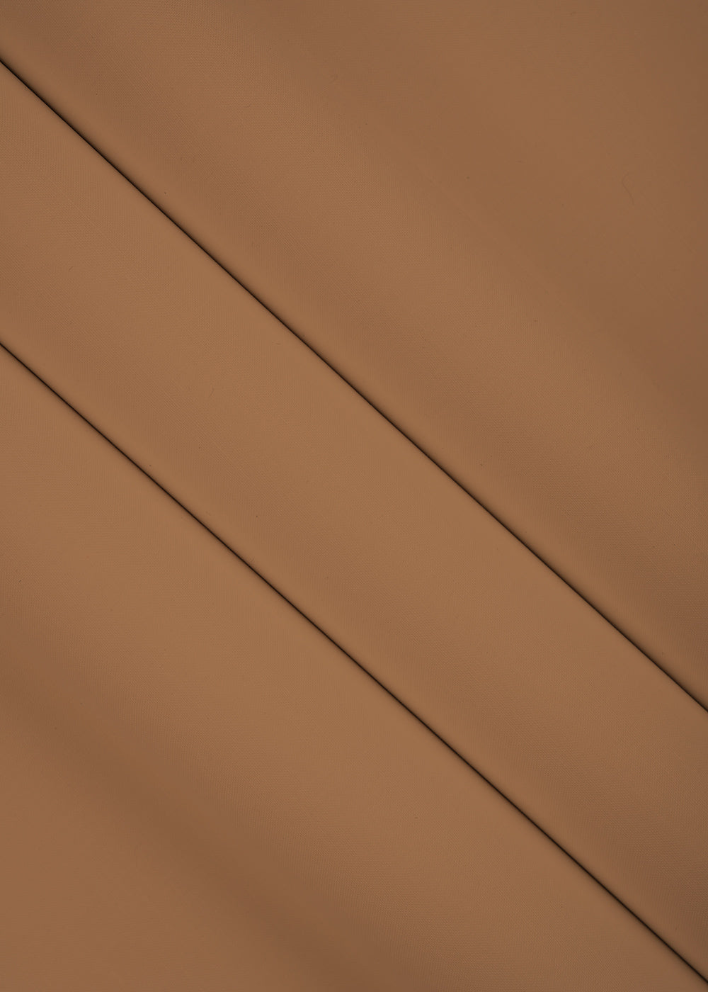 Evolution Egyptian Cotton