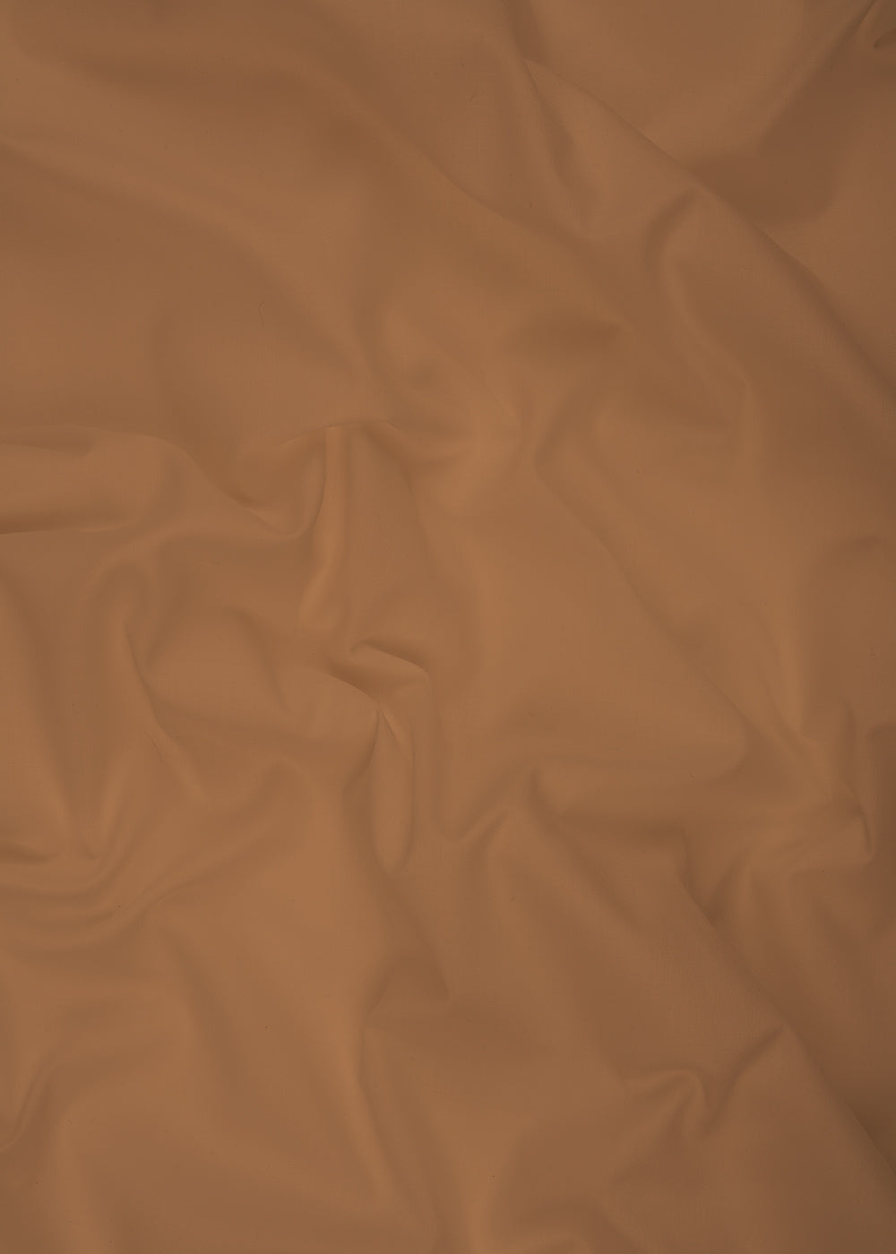 Evolution Egyptian Cotton