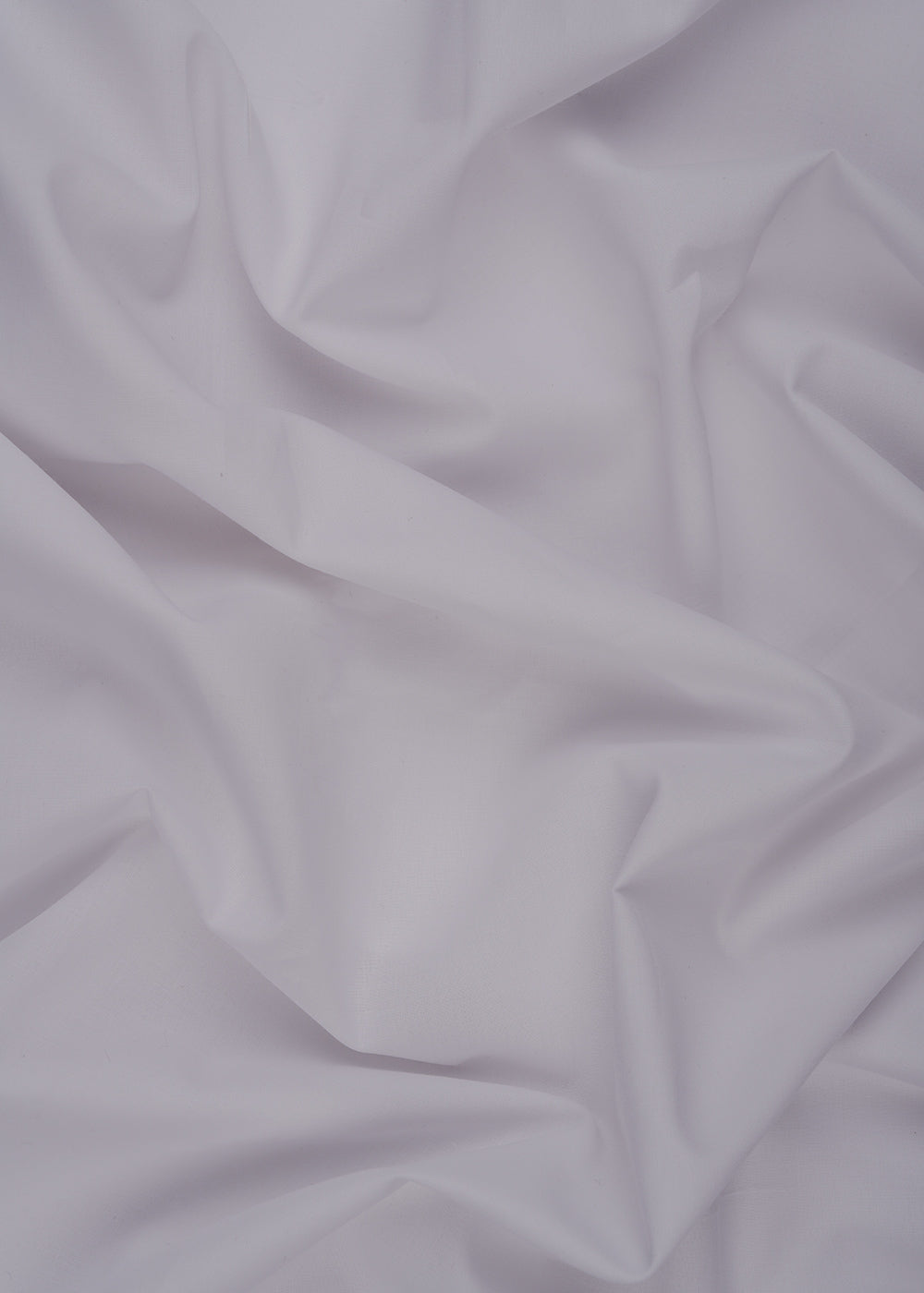 Evolution Egyptian Cotton