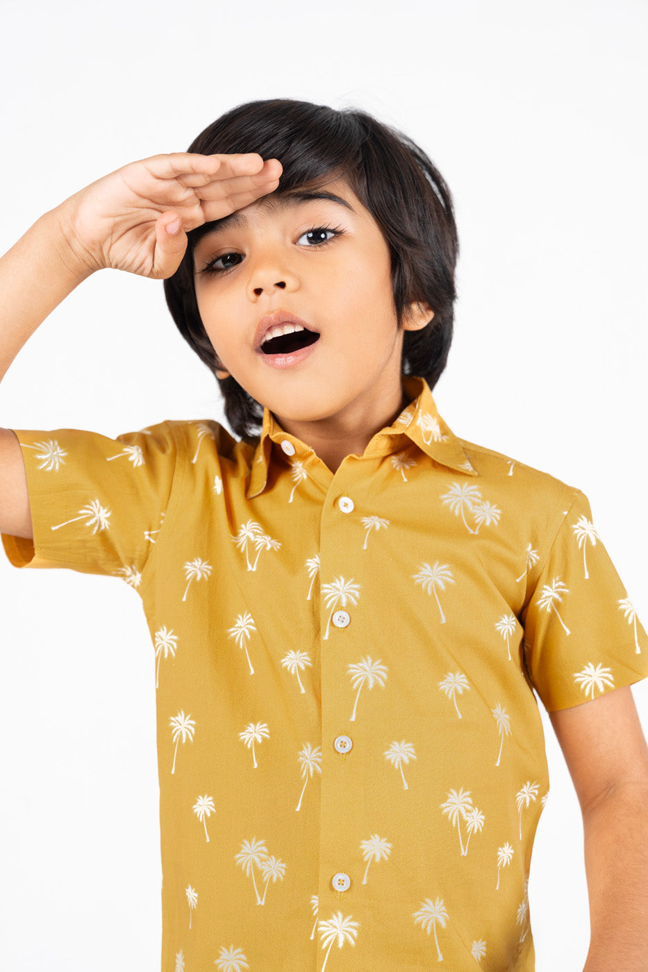 Dyed Cotton Dress Shirt