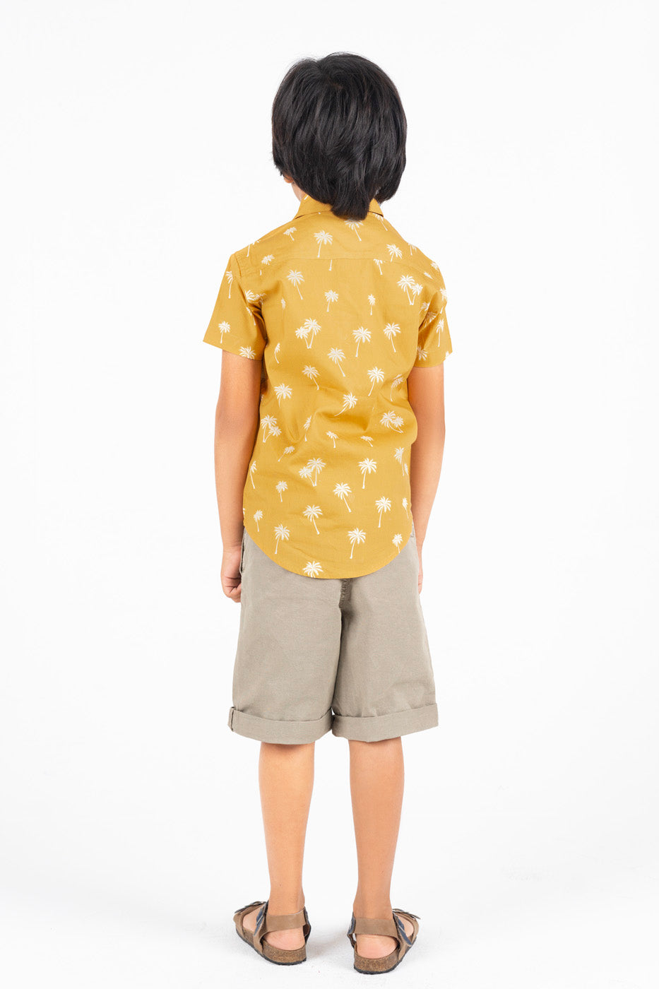 Dyed Cotton Dress Shirt