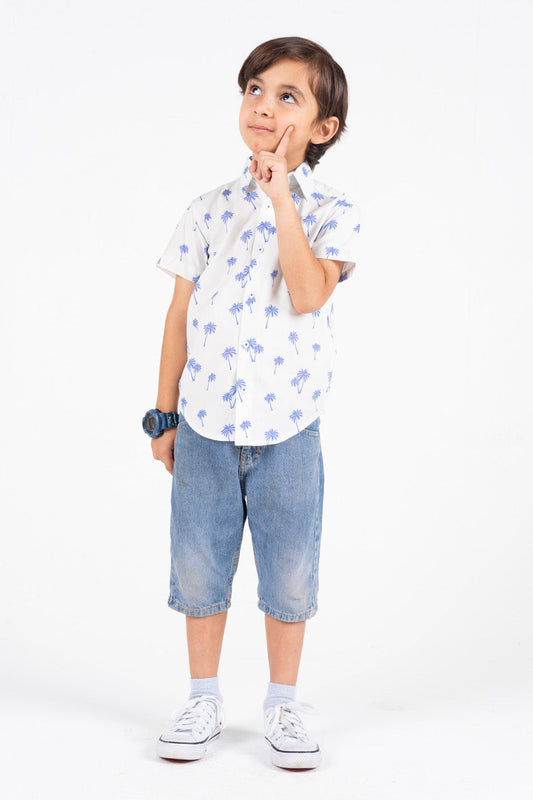 Dyed Cotton Dress Shirt