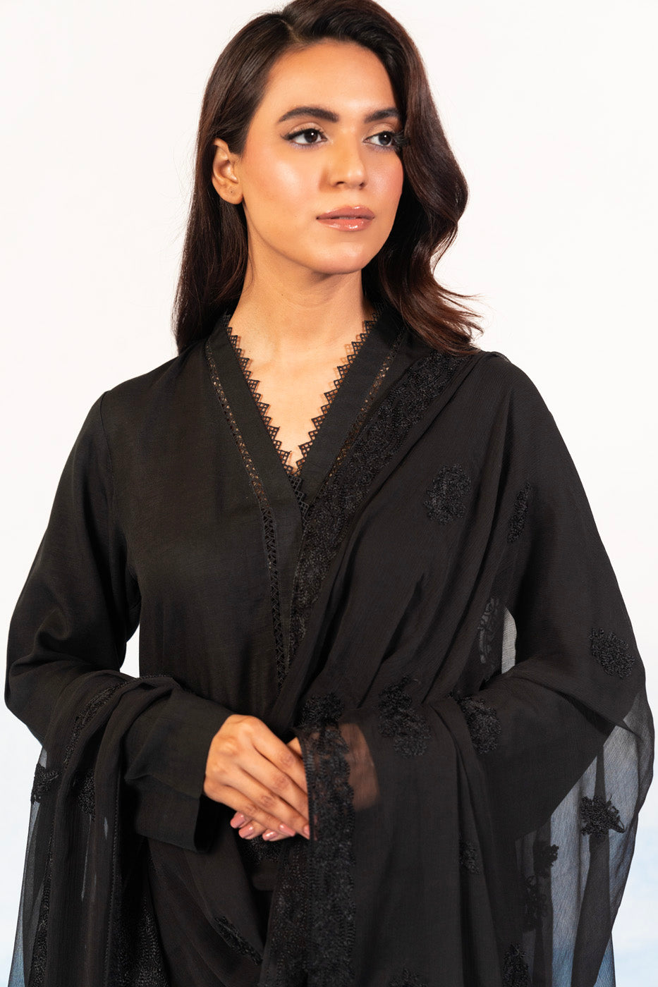 1 Pc Embroidered Chiffon Dupatta