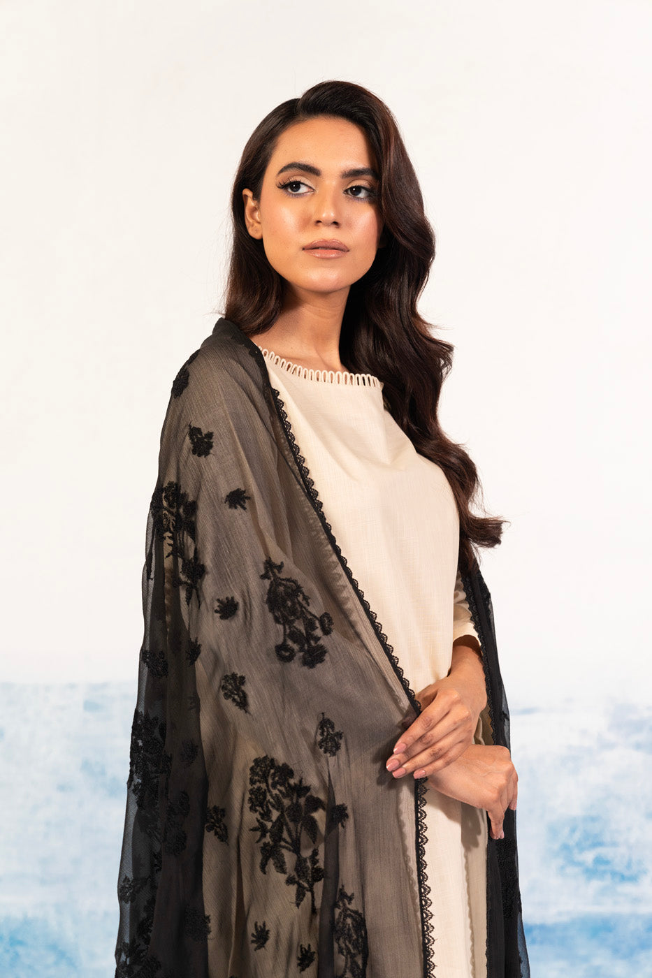 1 Pc Embroidered Chiffon Dupatta