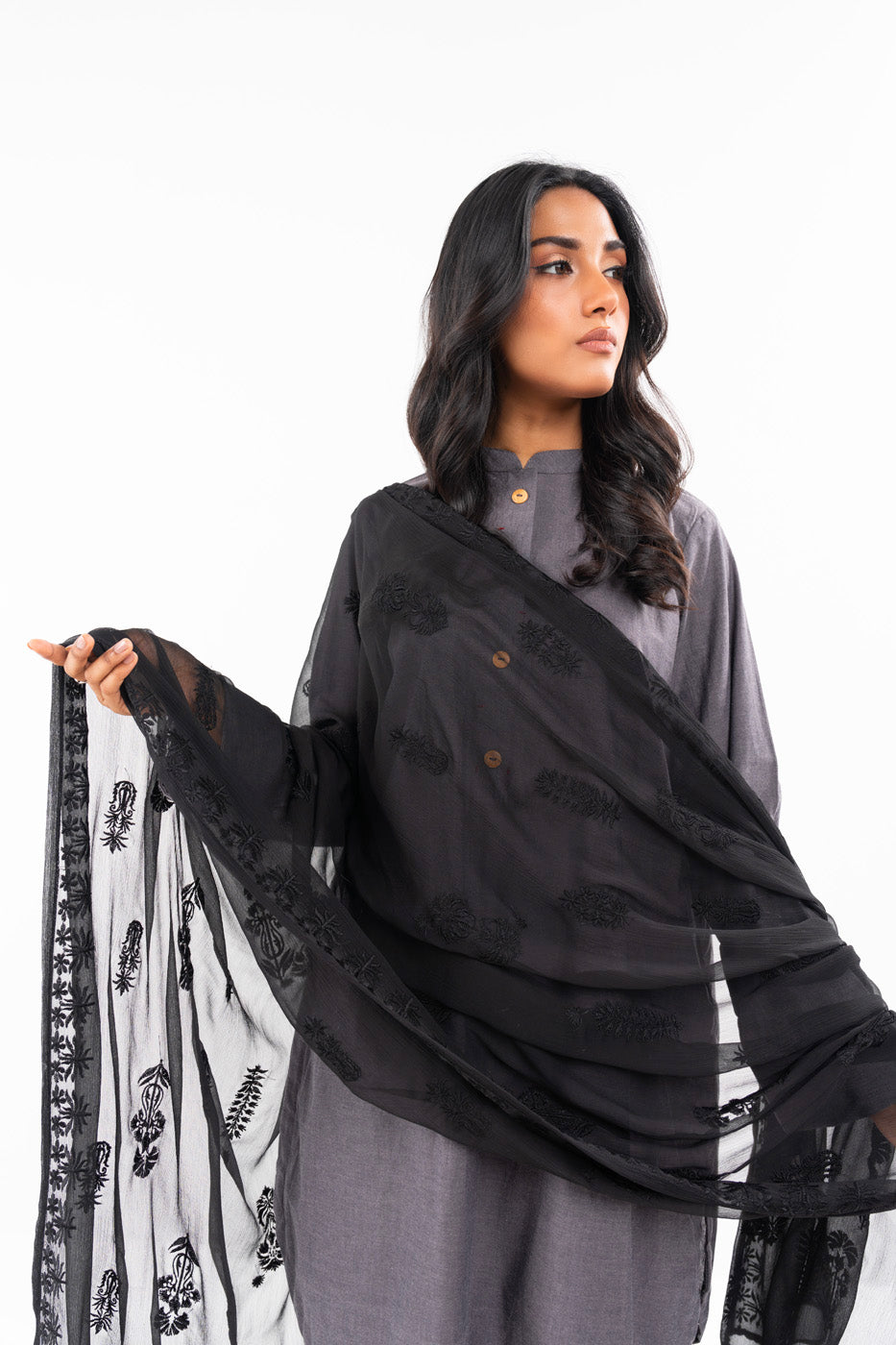 1 Pc Embroidered Chiffon Dupatta