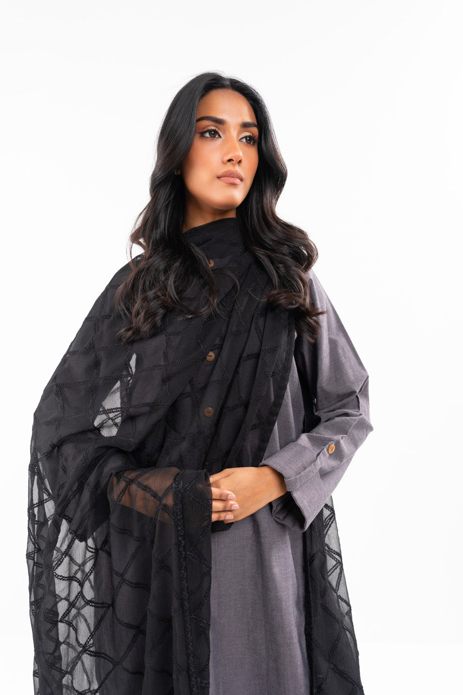 1 Pc Embroidered Chiffon Dupatta