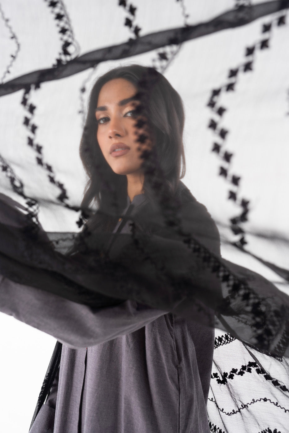 1 Pc Embroidered Chiffon Dupatta