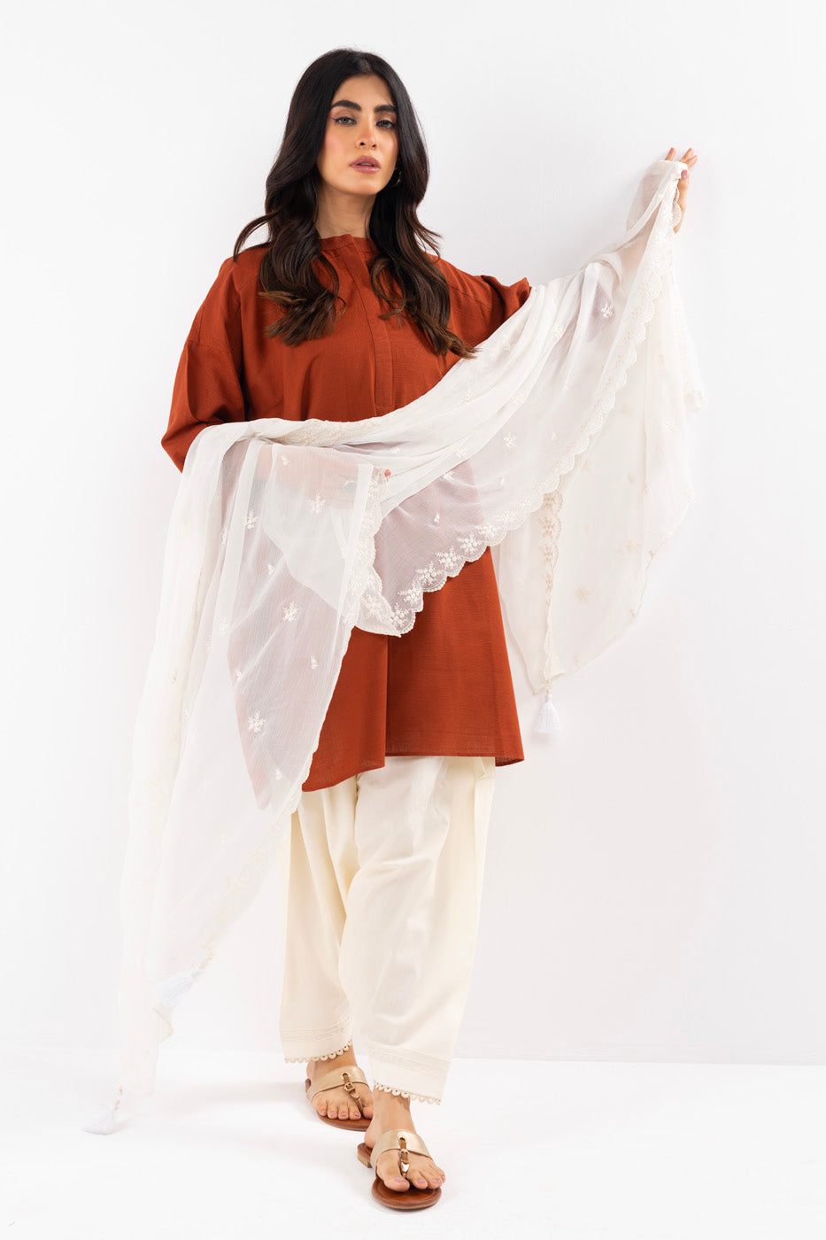 1 Pc Embroidered Chiffon Dupatta