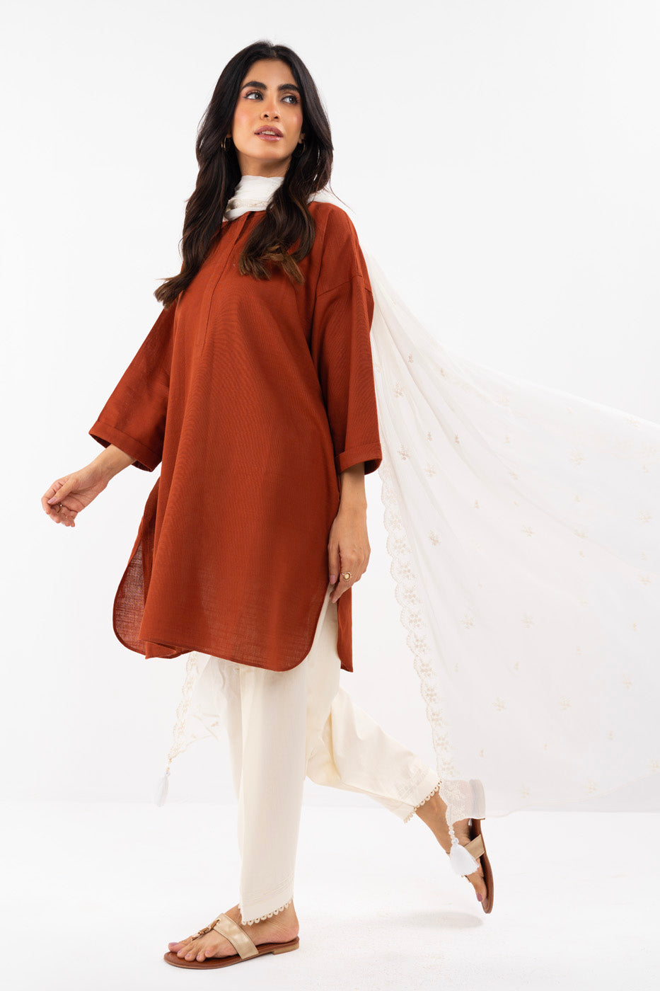 1 Pc Embroidered Chiffon Dupatta