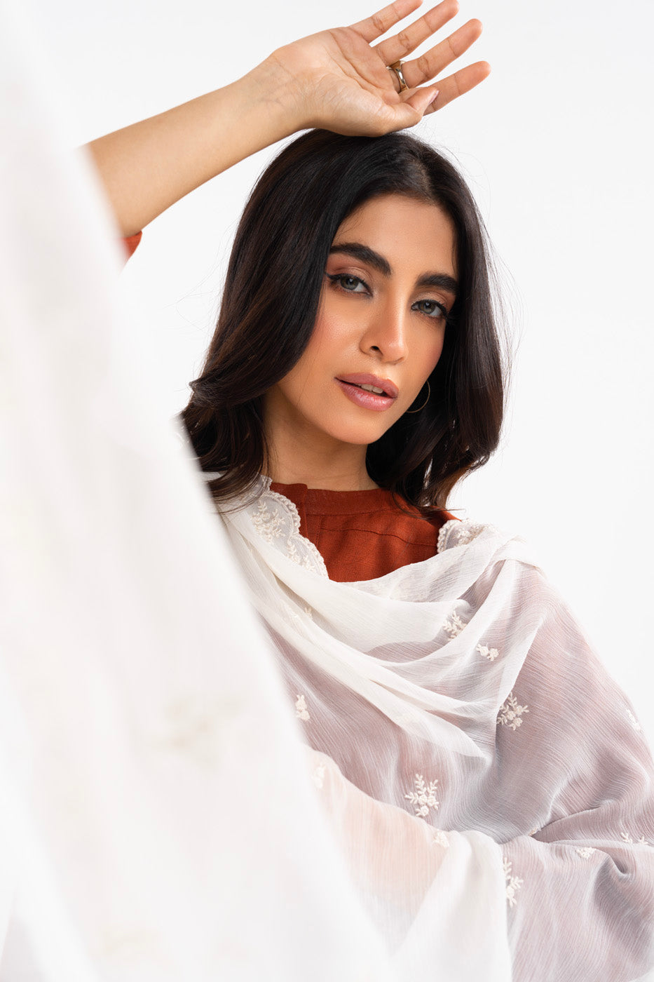 1 Pc Embroidered Chiffon Dupatta