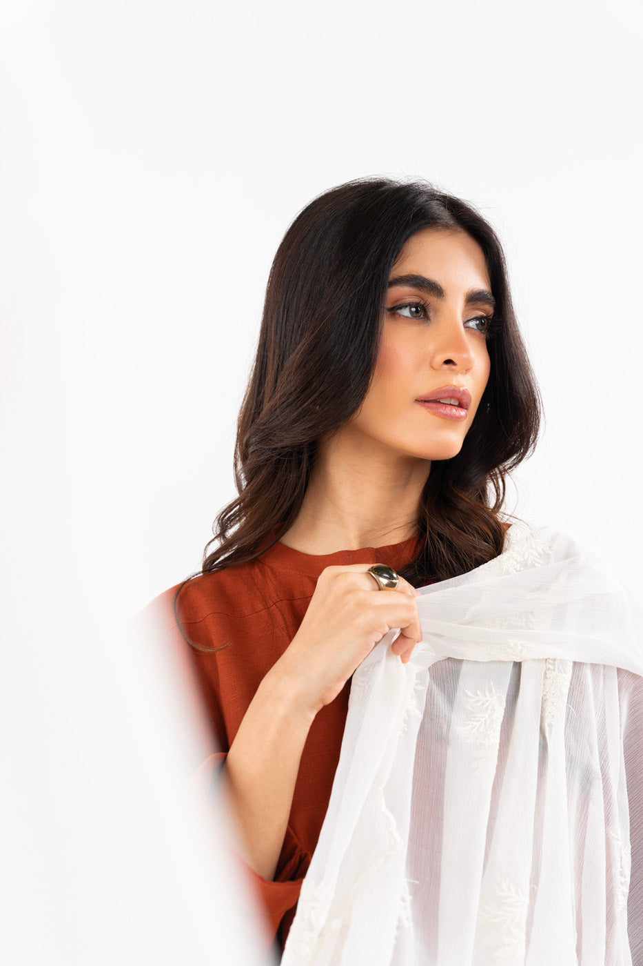 1 Pc Embroidered Chiffon Dupatta